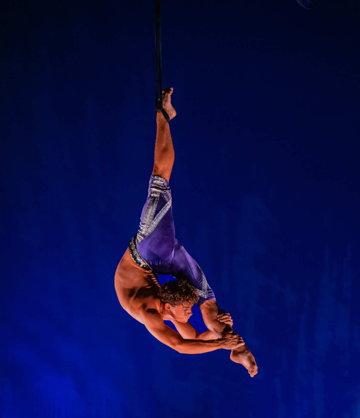 blessed to be flying✨🎪  Circus Sarasota . . ##circus##aerial##art