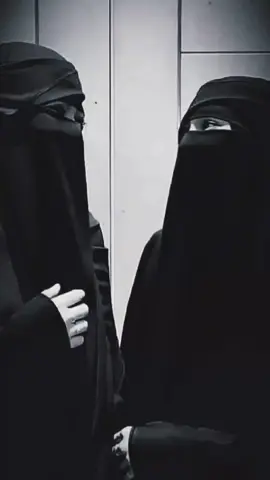 #ودعته_وكليبي_نار_ودعته_وانا_المحتار 