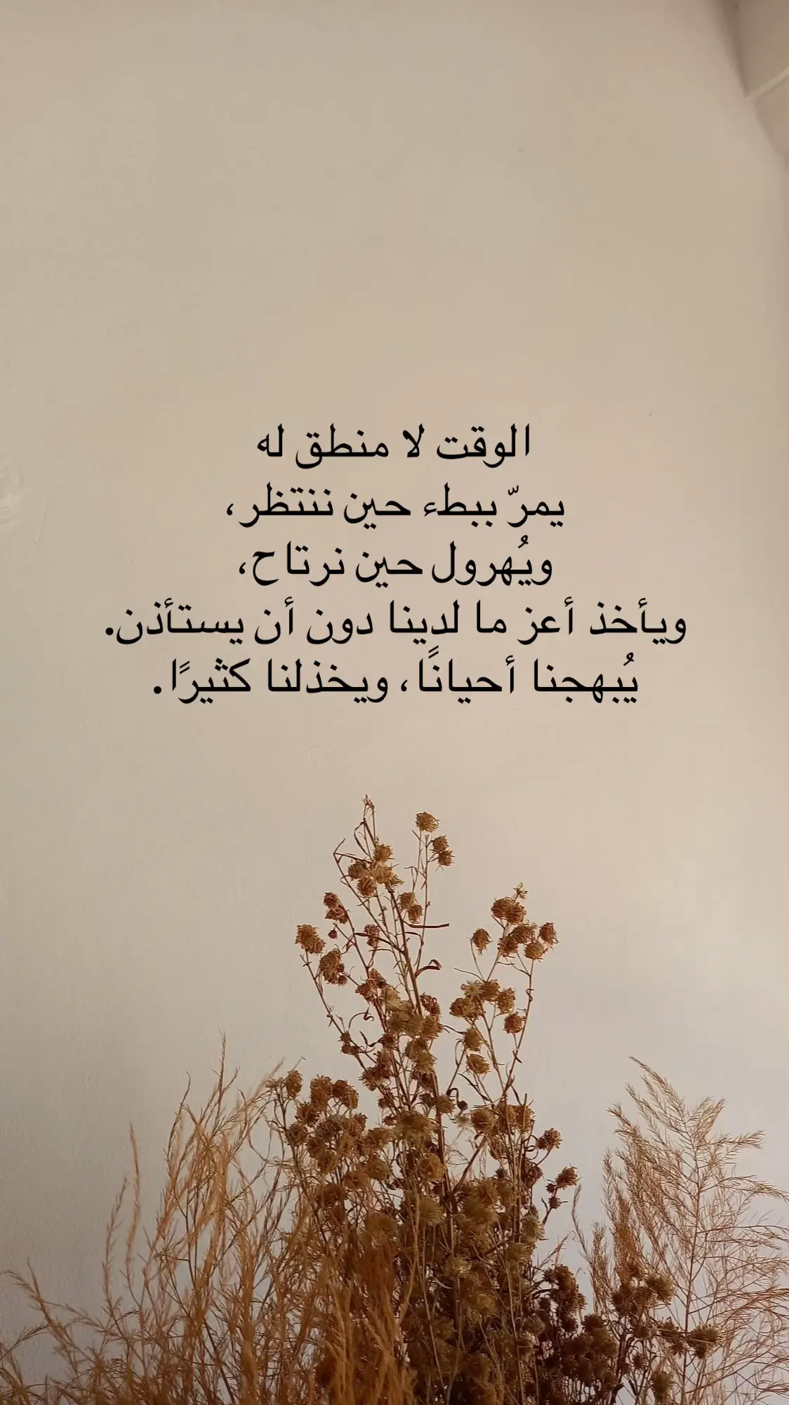 @ارتست كلثوم 💄📸 #حسابي_الثاني💜 #اميرة_الكون #اكسبلورexplore 