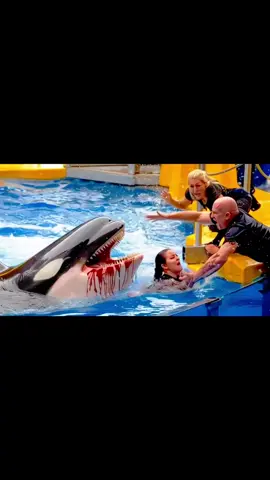 آخر لحضات جيسكا والحوت ياكلها#AI فيديو#جيسكا #fypتوضيح هذا  بذكاء الاصطناعي ethịt huấn luyện#Jessica 