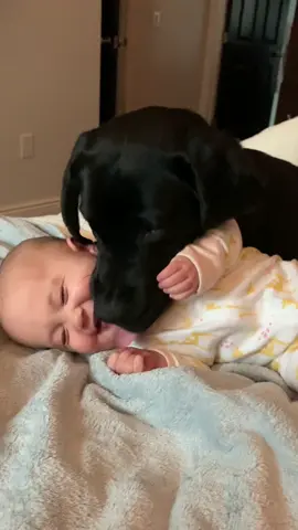 Happy baby and dog #baby #babytiktok #babylove #cutebaby #cute #dog #happybaby 
