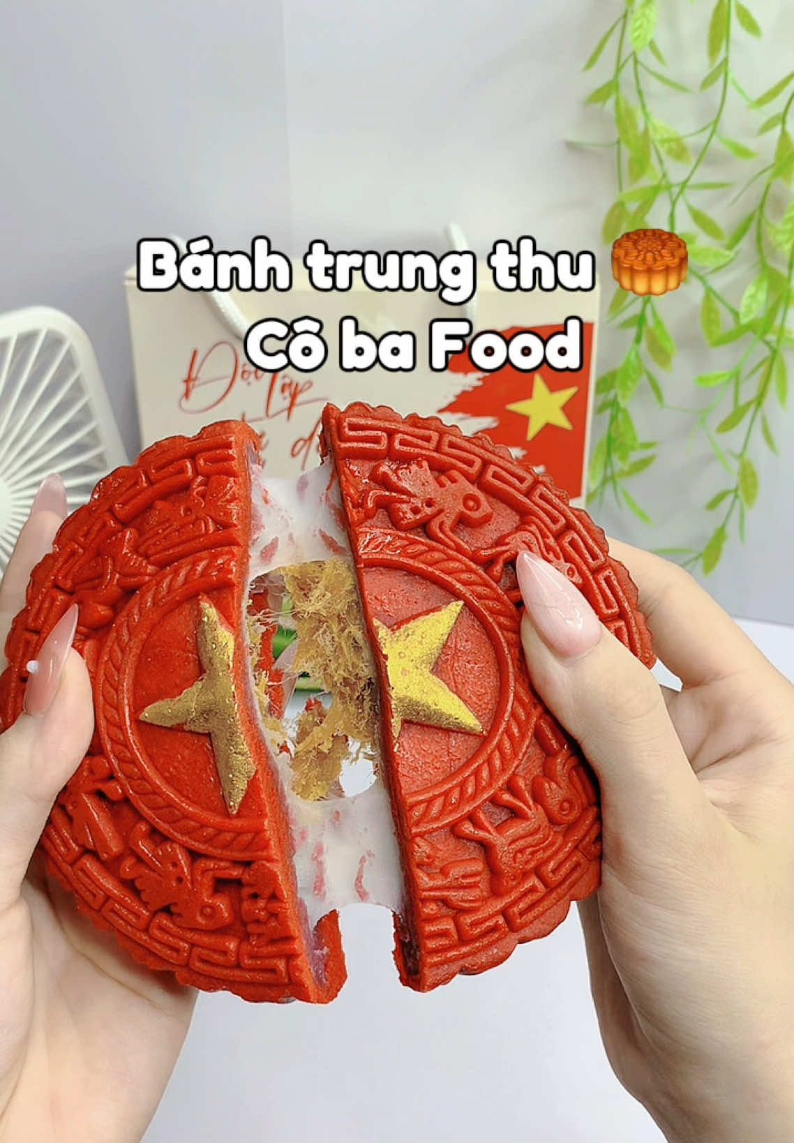 Bánh ăn ngon không hề biết ngán luôn #xuhuong #banhtrungthu #trungthu #banhnuong #banhmochi #camriviu16 #fyp 