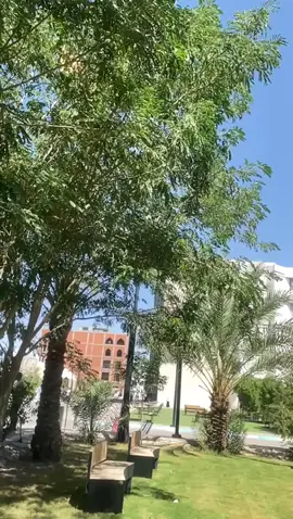 جامعـة المعارف🖤✨ #أنباريـةة✨🤍 #الانبار_الرمادي #جامعةالمعارف #ادارة_اعمال🤍👩🏼‍💻 #الشعب_الصيني_ماله_حل😂😂 