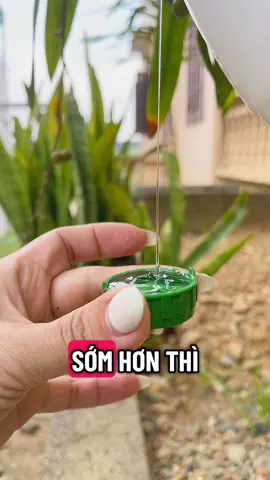 Nước rửa chén quốc dân #nuocruachen #power #review #tiktok #tienich 