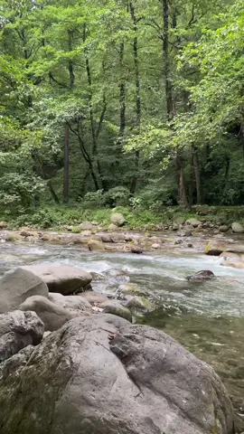 صوت الطبيعة 💫💚   #غابات #ايران #دو_هزار #سه_هزار #تصويري 