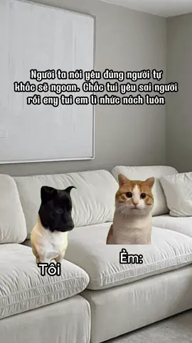 Em lì như trâu#cat #memes #funnycats #hàihước #catmeme 
