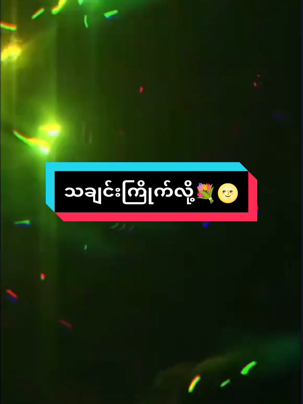 #သီချင်းလေးကြိုက်လို့ပါ #oppa0284 #tiktokmyanmar2025 #alightmotion_edit #ငါ့viewတွေဘယ်ရောက်သွားတာလဲ 