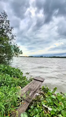 ☘️☘️☘️🌹🌹🌹🌴🌴🌴