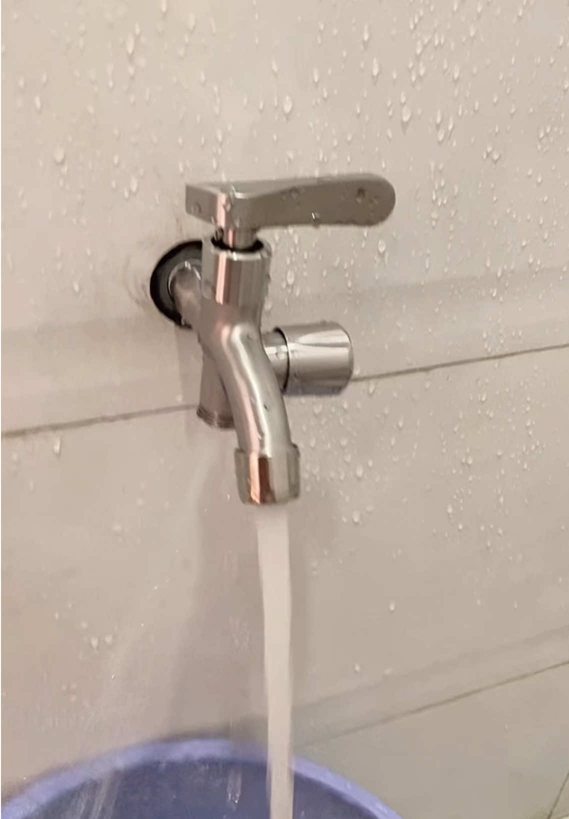 Củ sen lạnh 2 van khoá mở nước gắn 1 lần dùng cho 2 vòi nước #cusen #cusentam #bosen #thietbinhatam 