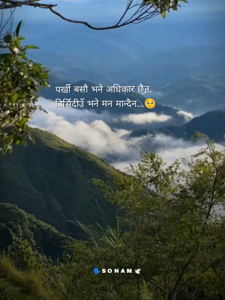 माया ?? #onesidelove #nepalicaption #brokenheart #foryou #fyp 