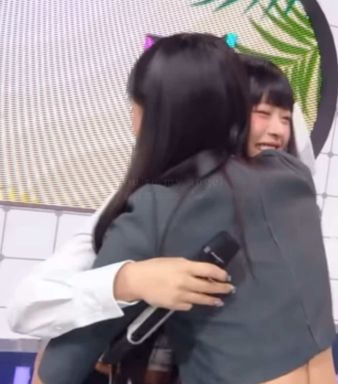 パンサズが恋しすぎる😭 #newjeans #minji #hanni #bbangsaz #fyp 