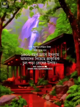 ১৪০০ বছর আগে ইসলাম আমাদের দিয়েছে প্রাকৃতিক চুল পড়া রোধের উপায়। #islamic_diary3 #alaminofficial2 #AF_modon #allah #ইসলামিক_ভিডিও 