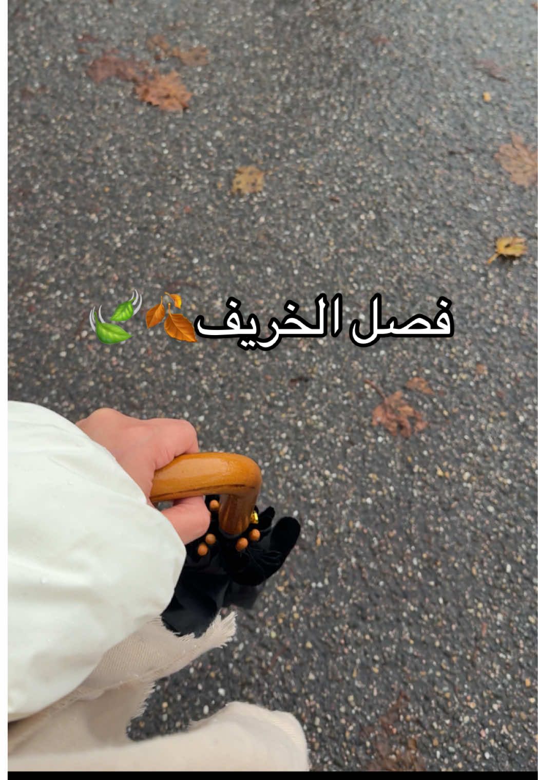 كذا بتكون امستردام في نوفمبر 🍁🍂🪾#الشتاء #مطر #سفر #هولندا #اكسبلورexplore 