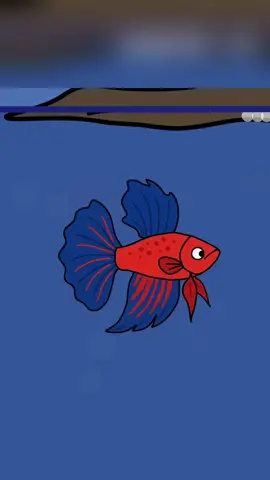 If you are a betta #animals #Foryou #Friendship #Us