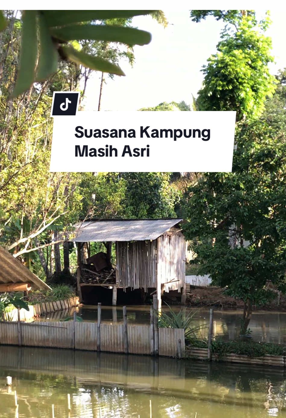 Suasana kampung anu masih asri salahsawiosna di Blok Kubangsari, Dusun Sindanglama, Desa Malausma, Kab. Majalengka. Masih aya keneh jobong (wc umum diatas balong) suasana sejuk. Cocok kanggo niiskeun pikiran bari ngopi 😁 #fyp #majalengka #sindanglama #malausma #sunda 
