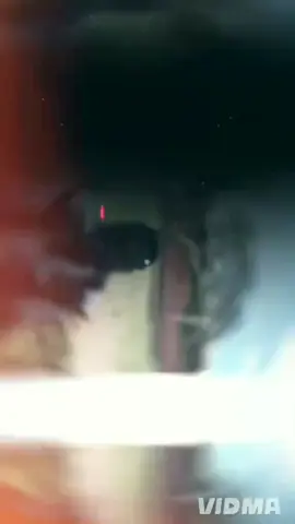 #creatorsearchinsights #LanguageLearning 