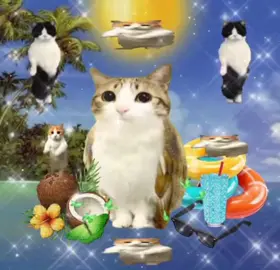 MEOWL!>∆< #meowl #fyp 
