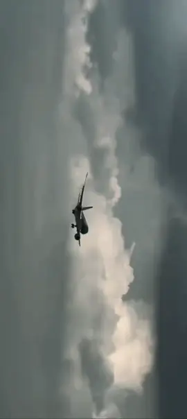 Boeing 787_9!!#b787_9dreamliner #boeing #hangkhongvietnam✈️✈️ #b787_9vietnamairlines 