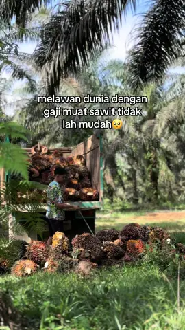 sangat sulit #sawitontiktok 