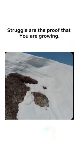 Deep truth on psychology and life  #psychology #life #fyp #foryourpageofficial 