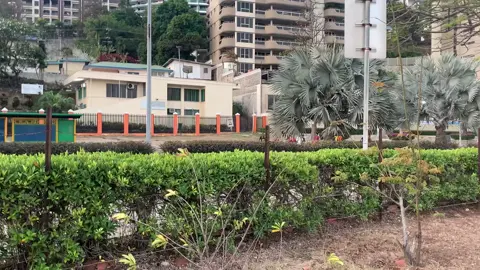 Happy 50th anniversary PNG.. Just flashing the png flag