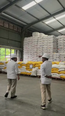 Senin, 15 September 2025 Kunjungan Satuan Pengawas Internal Wilayah Makassar ke Kompleks Pergudangan Nusaniwe yang langsung didampingi oleh Pemimpin Wilayah Perum BULOG Kanwil Maluku & Malut, Bapak Rudy Senawi Tahir. #perumbulog #bulogkanwilmaluku #bulog #bulogmengantarkankebaikan 