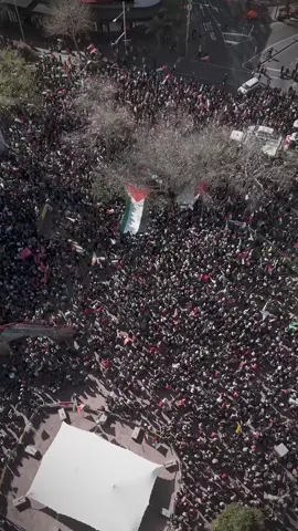 Auckland, Aotearoa, History was made. New Zealand witnessed its largest pro-Palestine protest ever. أوكلاند، أوتياروا، سُجّلت حدثا تاريخيا. نيوزيلندا شهدت أكبر مظاهرة مؤيدة لفلسطين في تاريخها.#palestine🇵🇸  