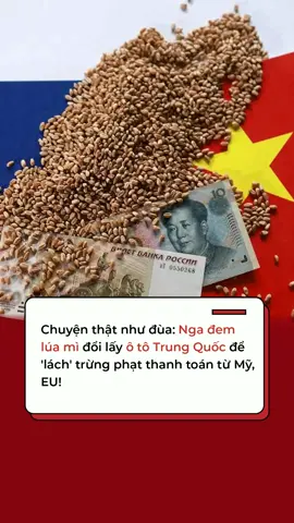 Mới đây, giới thương mại quốc tế xôn xao trước thông tin Moscow đem lúa mì đổi lấy ô tô Trung Quốc, thậm chí dùng hạt lanh để lấy vật liệu xây dựng – sự trở lại của mô hình “hàng đổi hàng” vốn biến mất từ thập niên 1990! #CafeF #AMM #AI