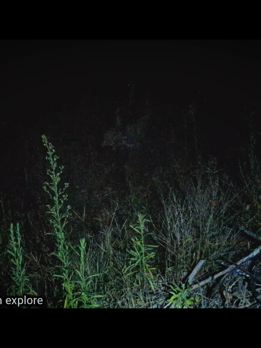 Penampakan hantu nenek