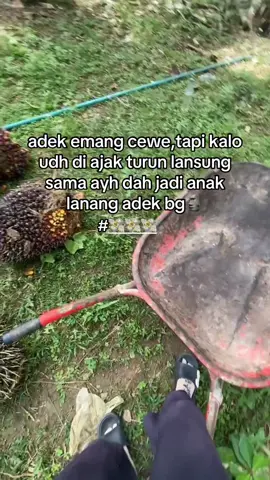 apa aj bisa adek bg😂#fyppp #panensawit #anakayah #🗿🗿 