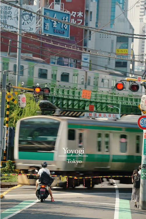 📍Yoyogi Station / Tokyo Where two train lines cross paths, weaving together the rhythm of Tokyo🚆✨ Please share & follow 👉 #japan #japantrip #tokyotrip #visittokyo #日本の風景  