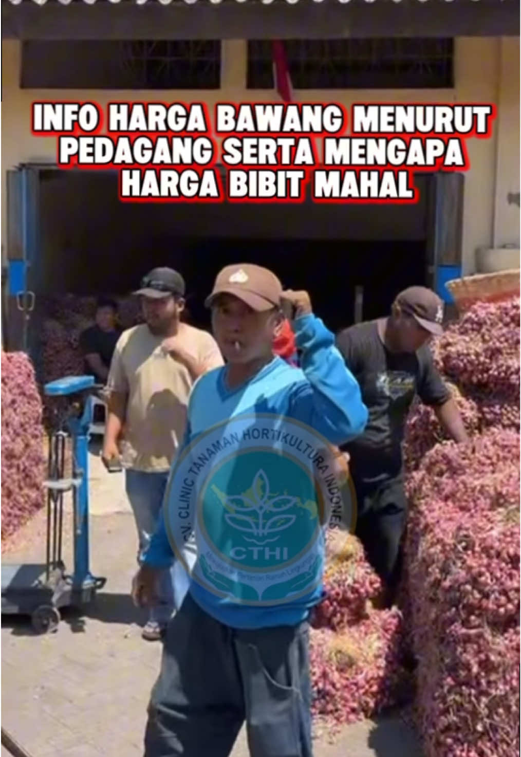 INFO HARGA BAWANG MERAH DAN BIBIT PROBOLINGGO HARI INI🤗🔥 #bawangmerah #infoharga #fyppppppppppppppppppppppp #bawangsuper #bawangnaikharga 