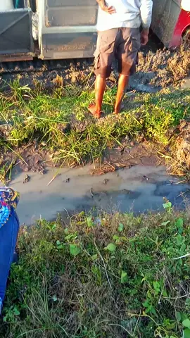 #maxxi #bimo102 #combeneharvester #petaniindonesia🇮🇩🇮🇩🇮🇩🌿🌿 