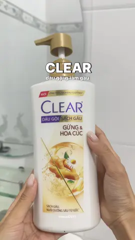 Mấy bà dùng thử dầu gội gừng và hoa cúc của Clear chưa #clear #cleargunghoacuc #daugoithaoduoc #daugoithiennhien #hoptaccungUnilever