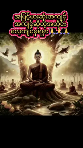 #သစ္စာရွှေစည်ဆရာတော်အရှင်ဥတ္တမ၏တရားတော် #တရားတော်များ #ဗုဒ္ဓဘာသာ #🙏🙏🙏 