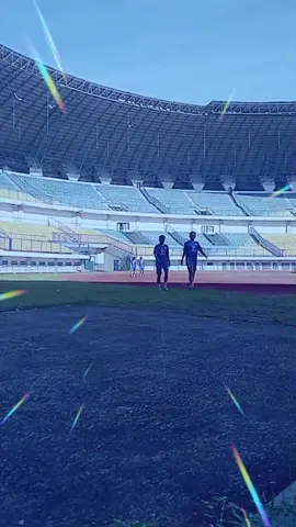 #creatorsearchinsights #sugbla #persibbandung #lestarindo_soccerfild #aremania