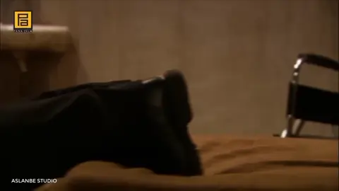 #kurtlarvadisi #capcut #kesfet #polatalemdar #qashqirlarmakoni 