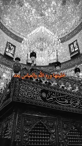 :ياهيبة زلمنه ويابختنه العالي ياابو فاضل  #الامام_العباس_عليه_السلام🍂 #كربلاء_مدينة_العشق_والعاشقين #ابو_فاضل 