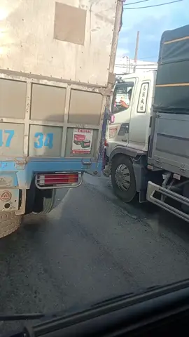 Lâu lắm mới có dịp gặp xe Tâm Dung. VDBA nha #xuhuongtuquy7 #xuhuongxuhiong #kenyantiktok🇰🇪 #xuhuongtiktok #basuri @Nông Dân @Nhớt xe máy honda 