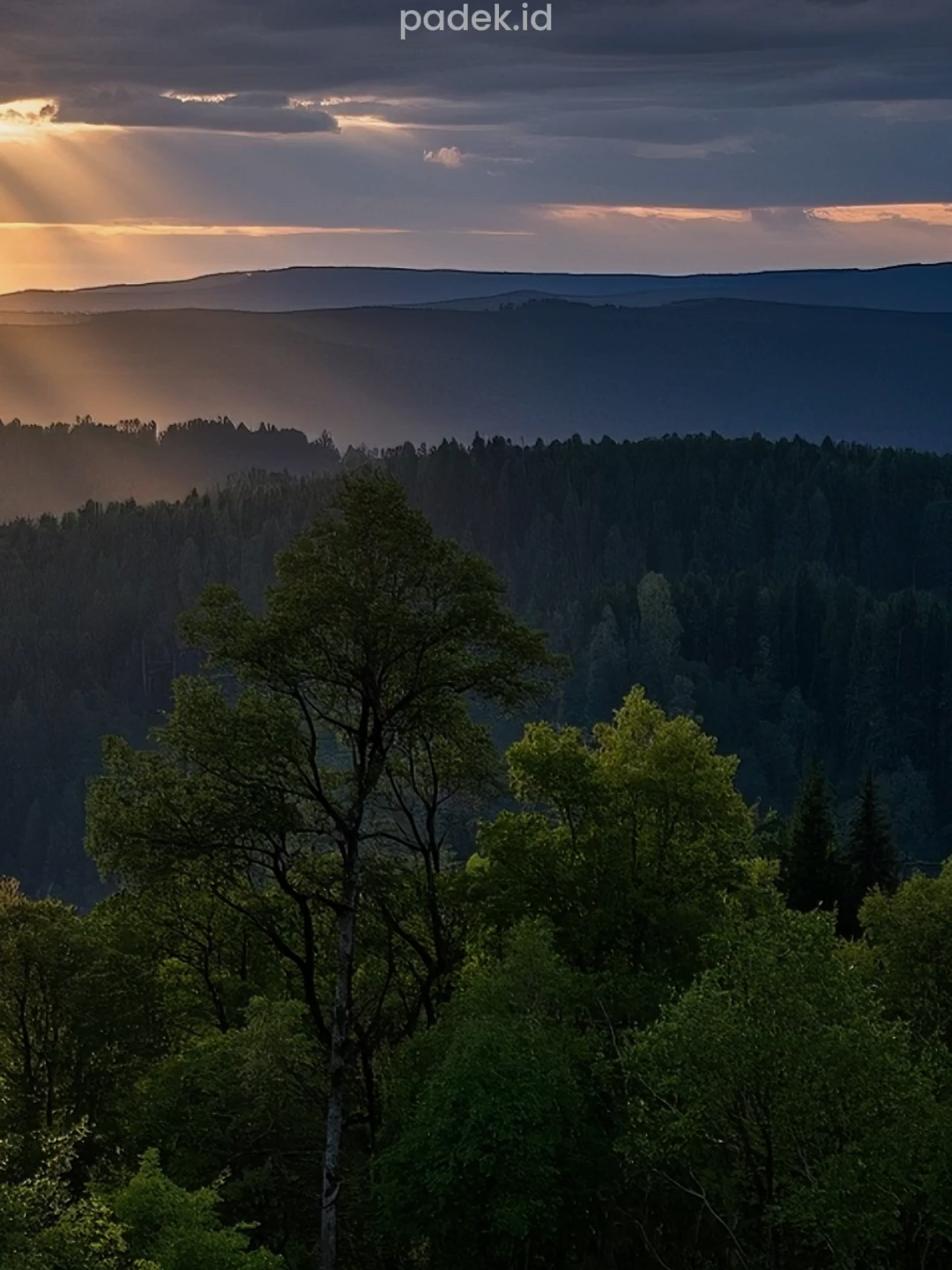 Tidak usah bangga punya teman segudang, tapi di saat susah gudangnya jadi kosong… Tapi banggalah punya teman cuma satu, namun di saat susah dia punya segudang cara untuk menolong. #katakatabijak #quotes #motivasi #inspirasi #katahati #status #story #reminder #pengingatdiri #viral #fyp