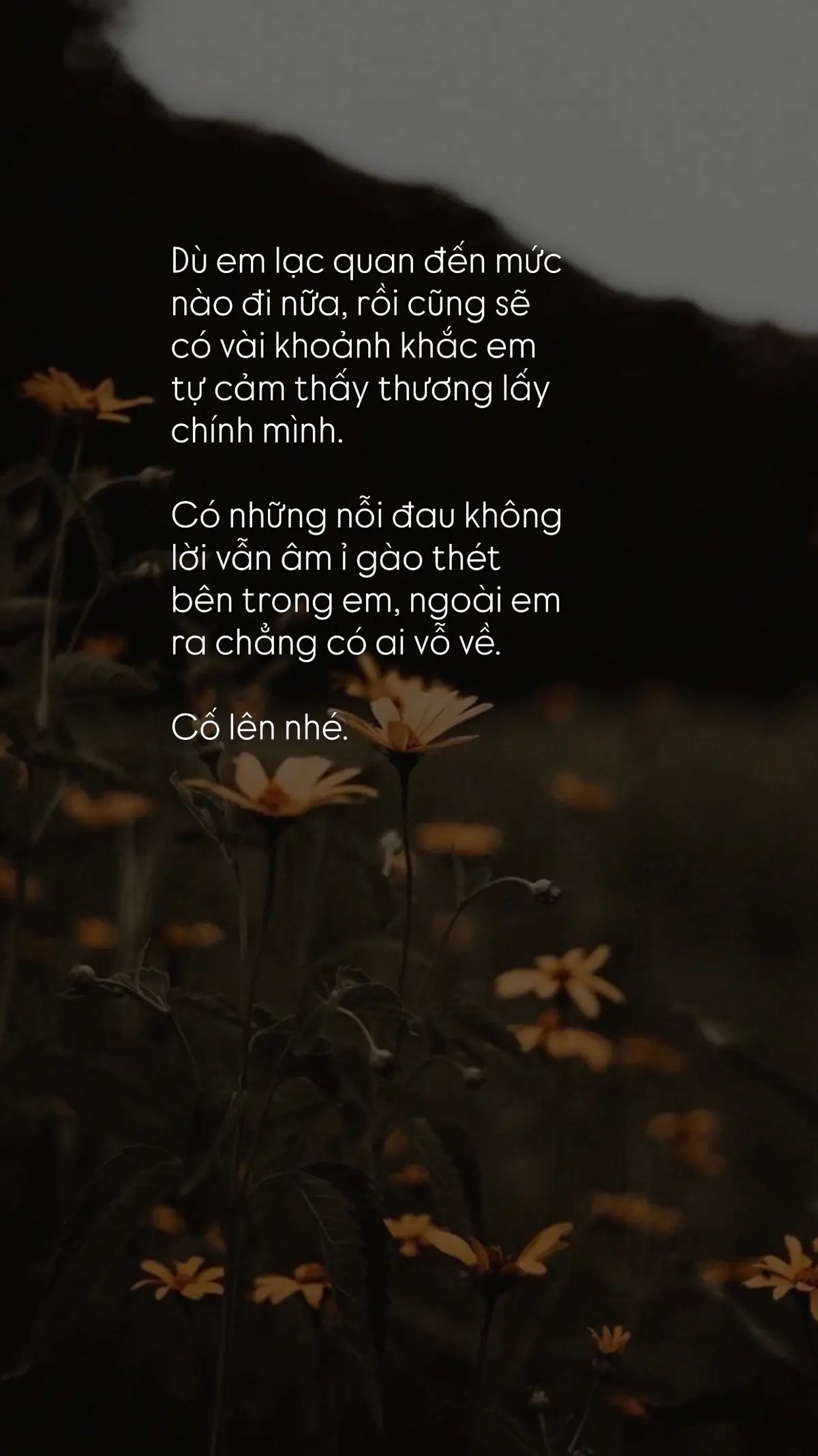 Thương em ❤️‍🩹 #chualanh #story #foryou 