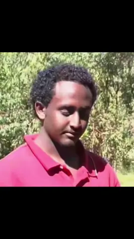 (Reception-ሪሰፕሽን) ናይ ትግርኛ ፊልም፡ Music legend Abraham Afewerki ❤️ #eritreantiktok🇪🇷🇪🇷habesha #eritreantiktok #ትግራይ_ንዘለኣለም_ትነብር🙏🇻🇳 #ኤርትራንኤሪትራዊያን🇪🇷🇪🇷🇪🇷🇪🇷 #habeshatiktok🇪🇷🇪🇹 