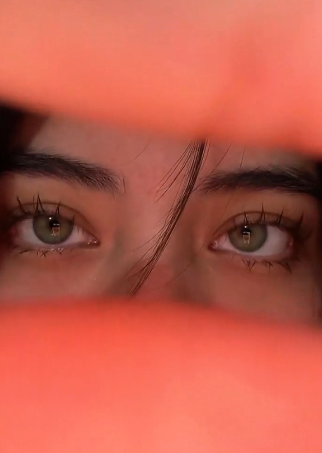 ‼️New Trend‼️ 