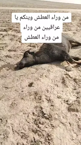 #😭😭😭😭😭😭😭😭😭😭 #😭😭 