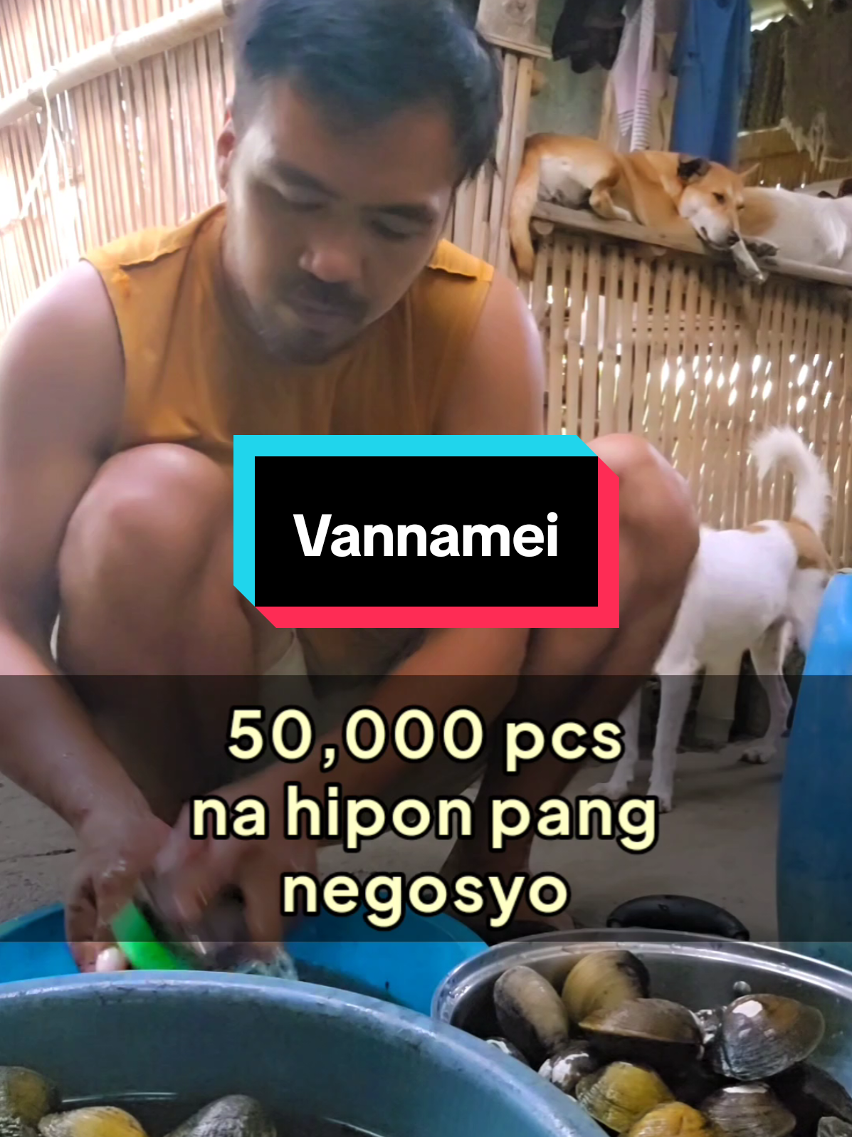 My Happy Place: Mga Aktibidad na Nagpapasaya sa Aking Bahay #doglife #petlover #rescueddog #doglover #shrimpfarming 