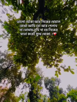 ভালো থেকো আর নিজের খেয়াল রেখো আমি তো আর পেলাম না তোমায় তুমি না হয় নিজের মতো করেই সুখে থেকো..!#Outfitwok berwarna #fyp 