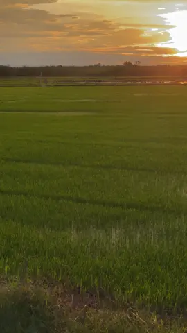 🫠#capdokieng #xedienhuyray #chill #xh 