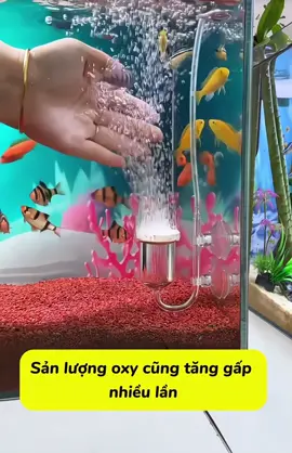 ⚡ Giải Pháp Bổ Sung Oxy Toàn Diện – Cốc Sủi Siêu Nhỏ Gọn, Siêu Hiệu Quả 🌟 Hồ cá đẹp hơn, cá không lo thiếu oxy – Mua ngay kẻo hết! #cacanhthuysinhtmb #cocsuioxy #suioxy #suioxychobeca #xuhuong 