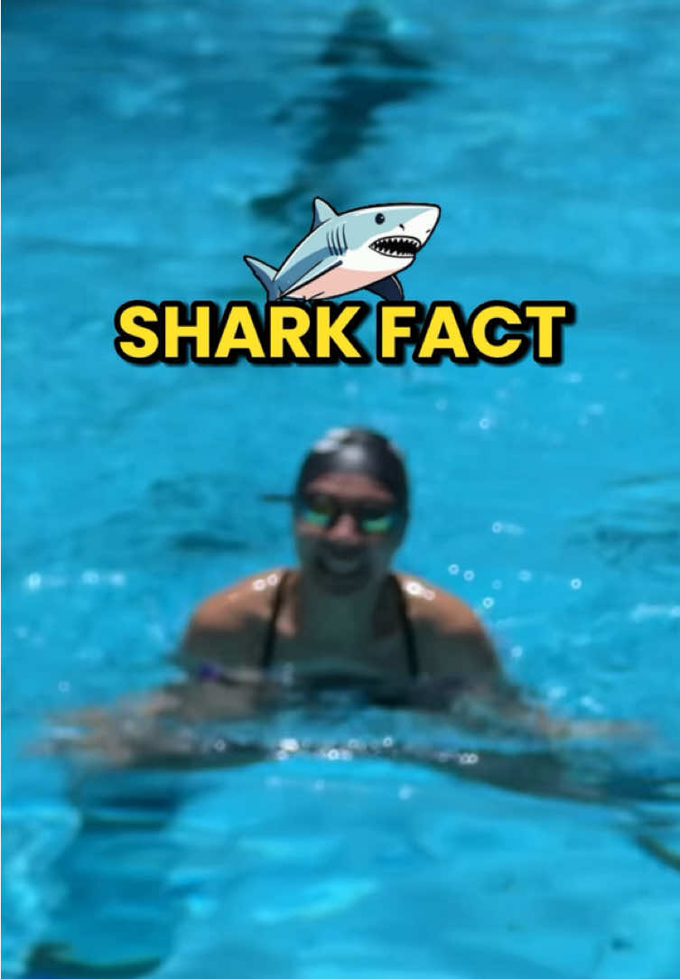 hindi ka shark! 🦈 #lans 