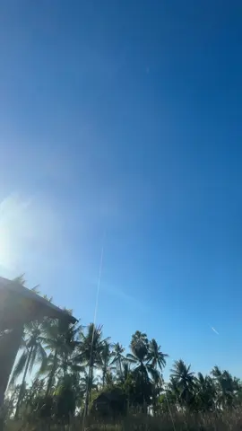 Ketua main layangan dulu ya😇#pasajangbugis #